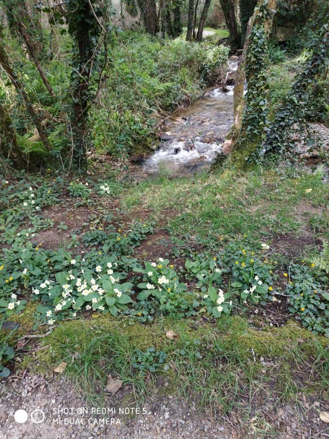 Costa Da Morte "Paraiso De Galicia" Ponteceso Exteriér fotografie
